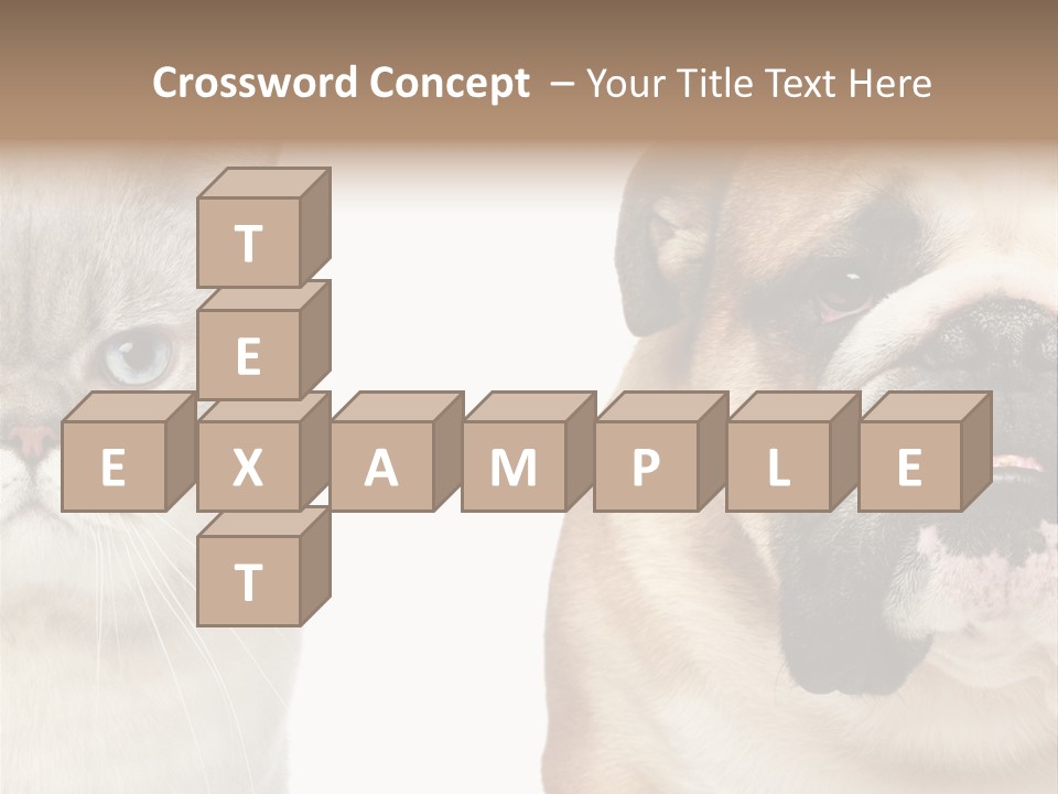Brown Cat Eyes PowerPoint Template
