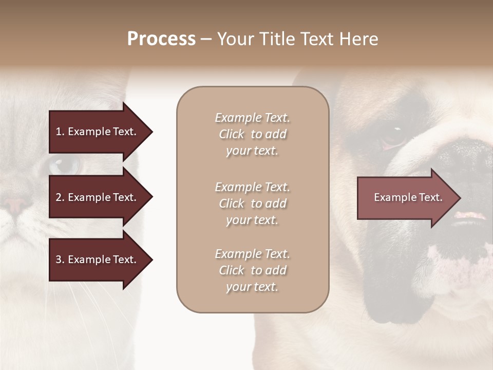 Brown Cat Eyes PowerPoint Template