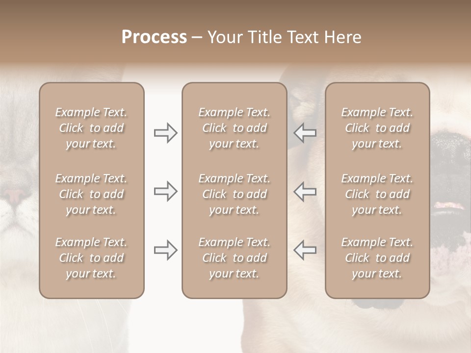 Brown Cat Eyes PowerPoint Template