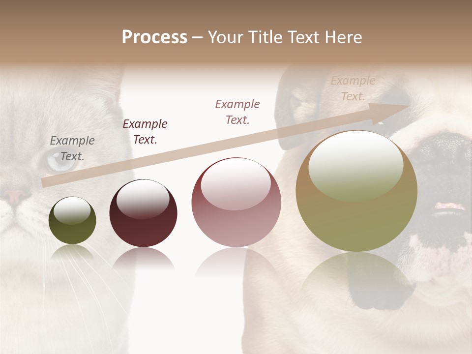 Brown Cat Eyes PowerPoint Template