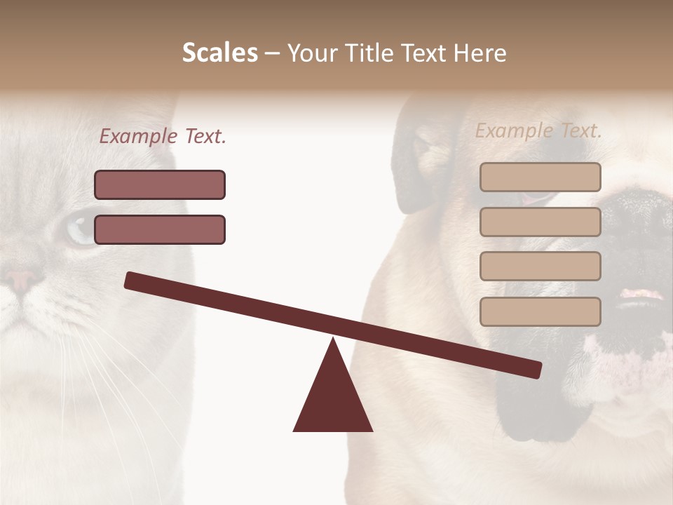 Brown Cat Eyes PowerPoint Template