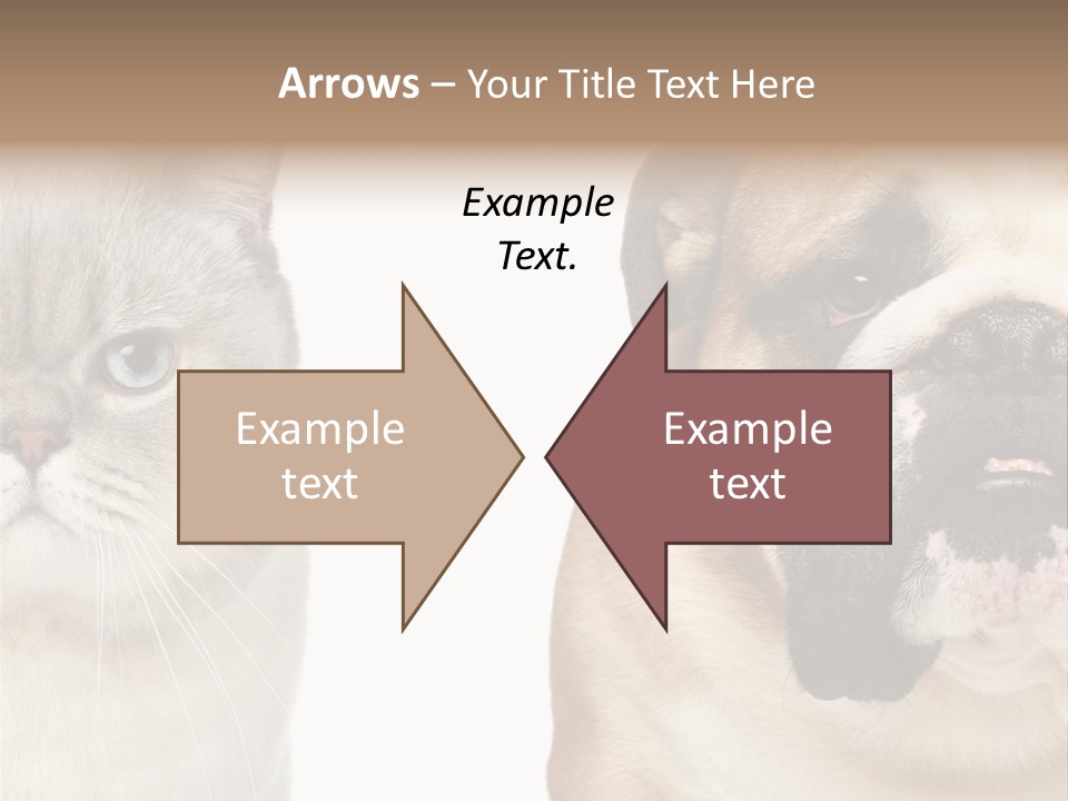 Brown Cat Eyes PowerPoint Template