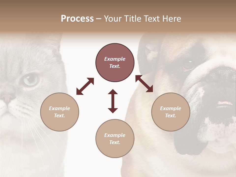 Brown Cat Eyes PowerPoint Template