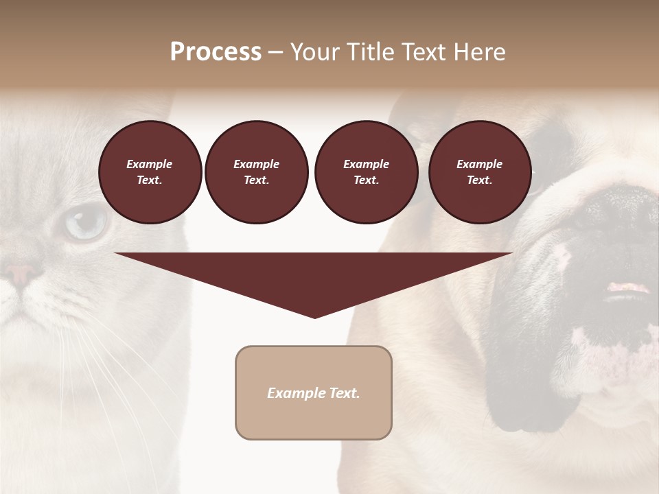 Brown Cat Eyes PowerPoint Template