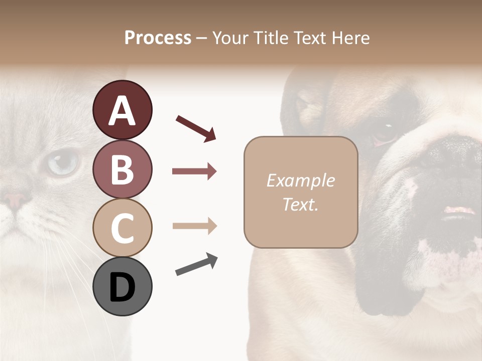 Brown Cat Eyes PowerPoint Template