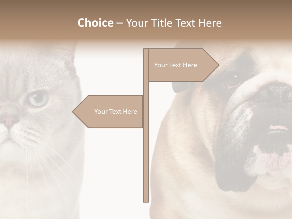 Brown Cat Eyes PowerPoint Template