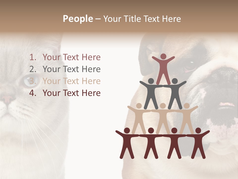 Brown Cat Eyes PowerPoint Template