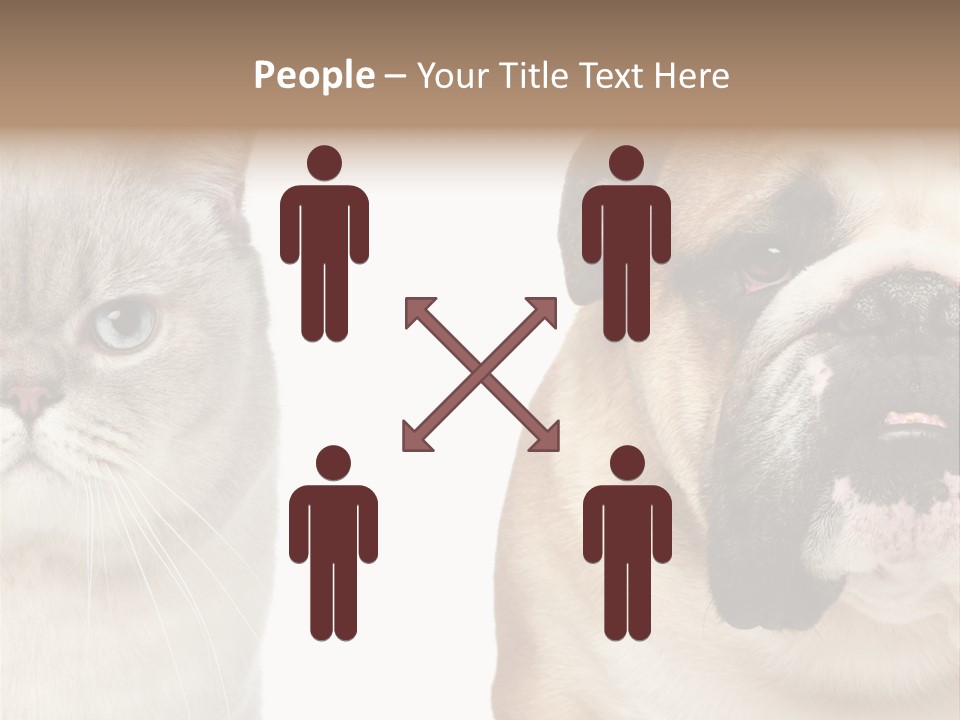 Brown Cat Eyes PowerPoint Template