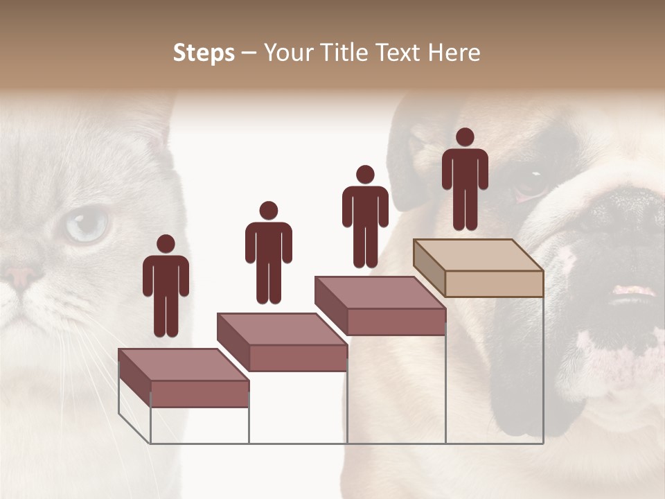 Brown Cat Eyes PowerPoint Template