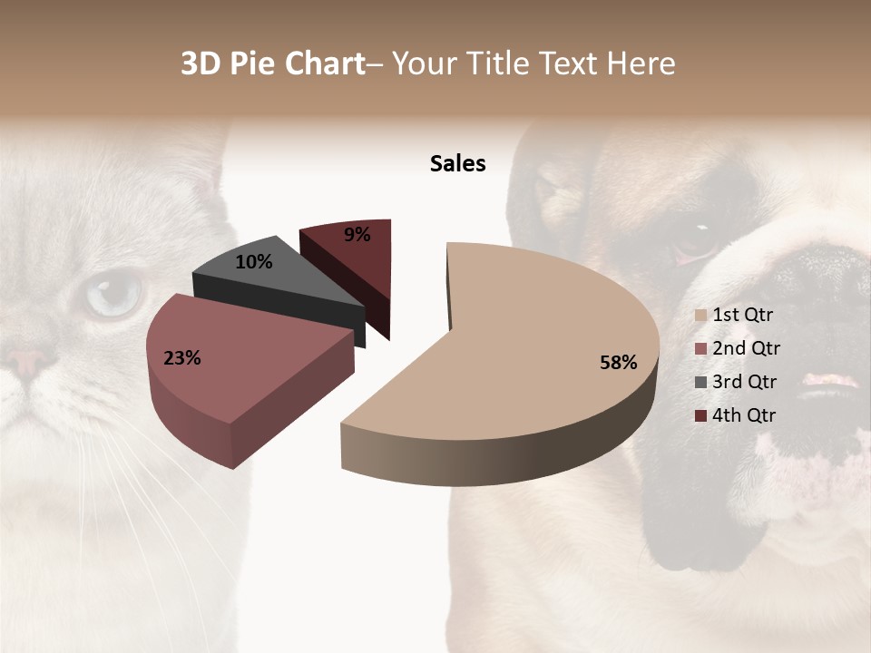 Brown Cat Eyes PowerPoint Template