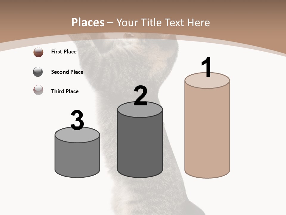 Pet White Kitty PowerPoint Template