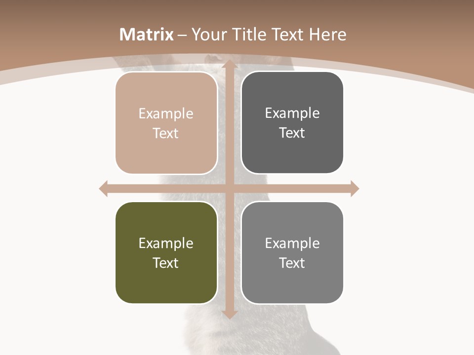 Pet White Kitty PowerPoint Template