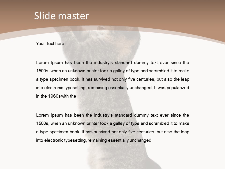 Pet White Kitty PowerPoint Template