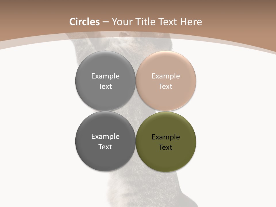 Pet White Kitty PowerPoint Template
