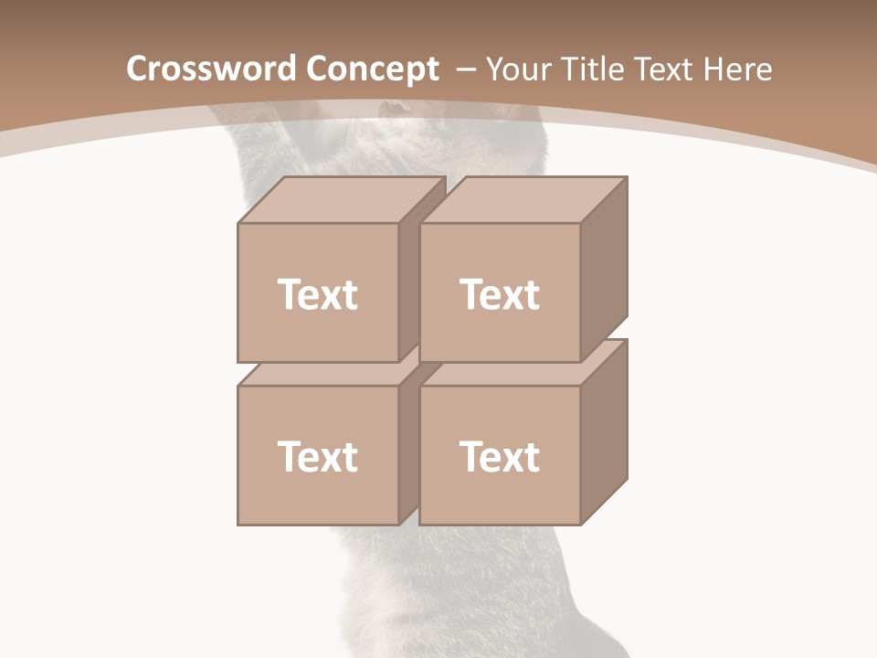 Pet White Kitty PowerPoint Template