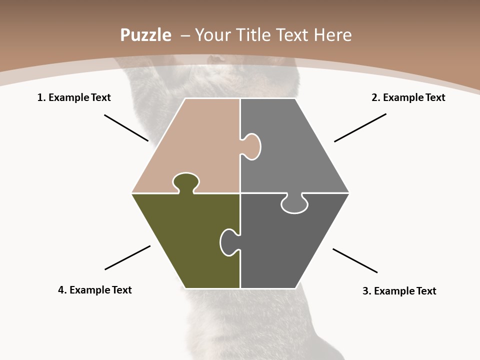 Pet White Kitty PowerPoint Template