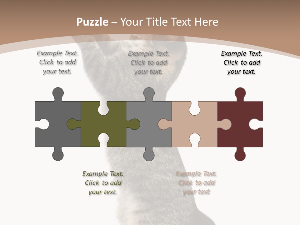 Pet White Kitty PowerPoint Template