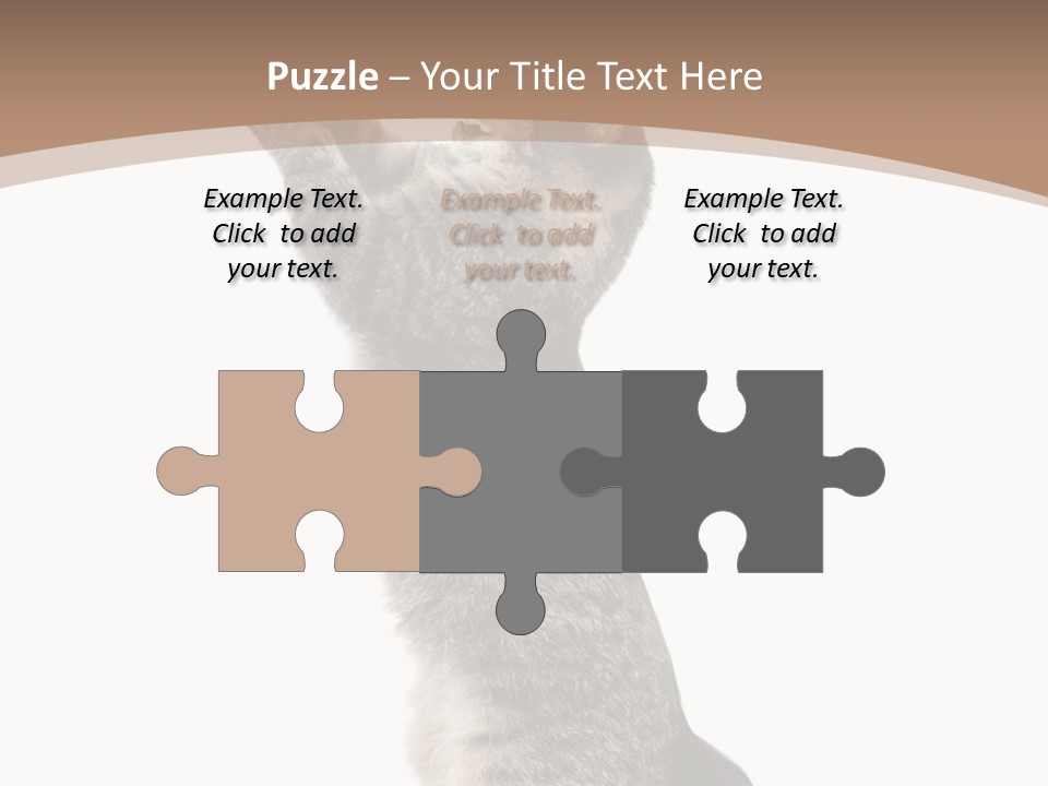 Pet White Kitty PowerPoint Template