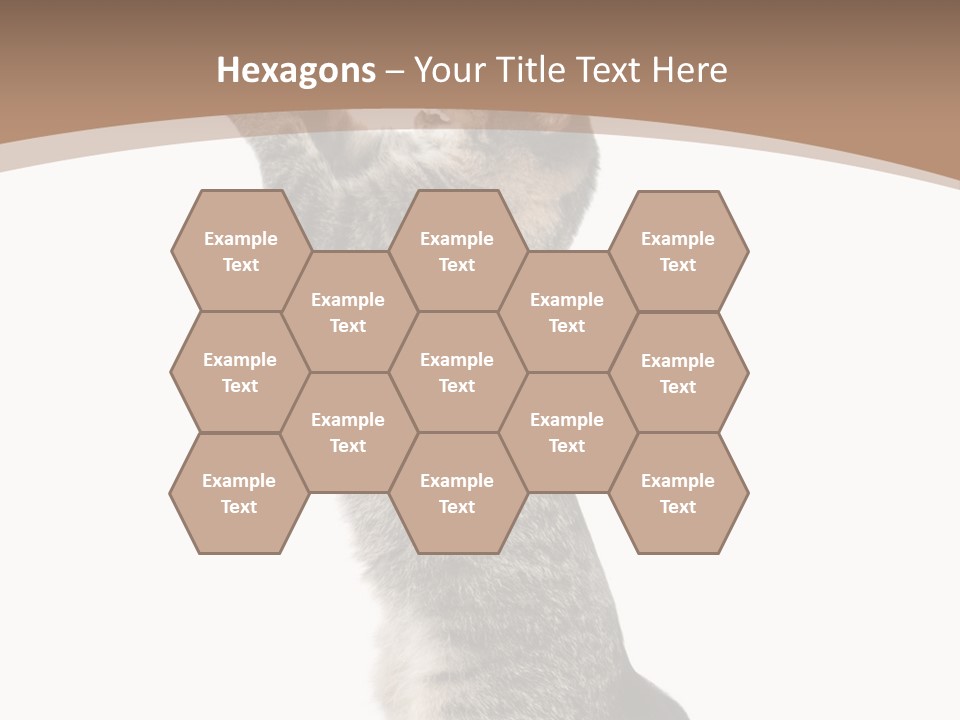 Pet White Kitty PowerPoint Template