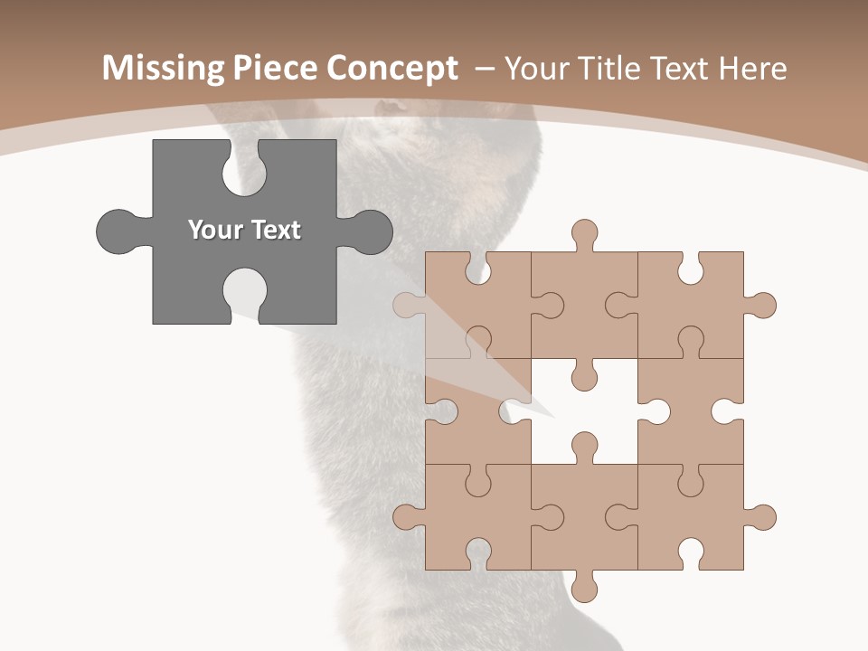 Pet White Kitty PowerPoint Template