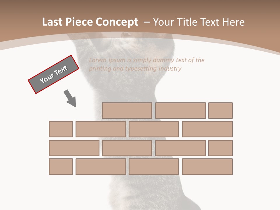 Pet White Kitty PowerPoint Template