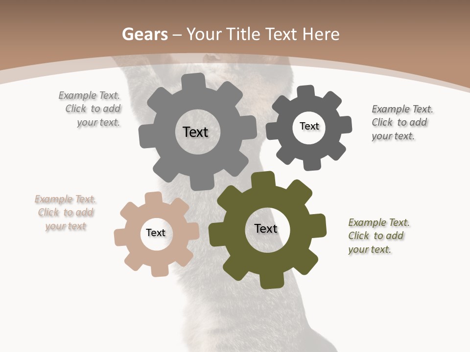 Pet White Kitty PowerPoint Template
