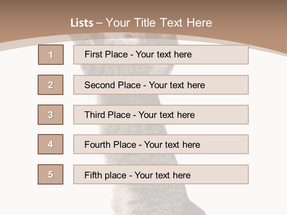 Pet White Kitty PowerPoint Template