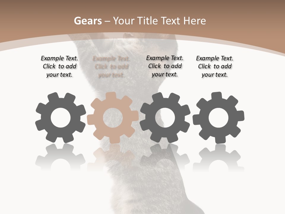 Pet White Kitty PowerPoint Template