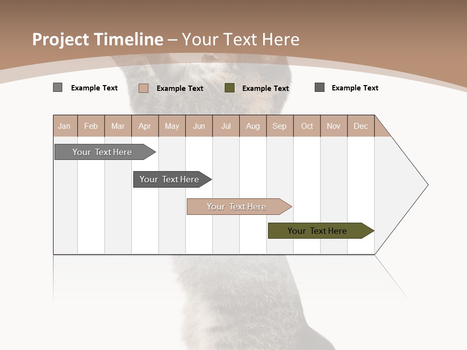 Pet White Kitty PowerPoint Template