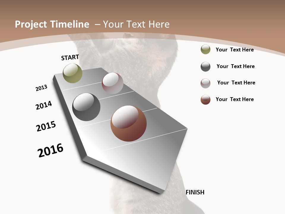 Pet White Kitty PowerPoint Template