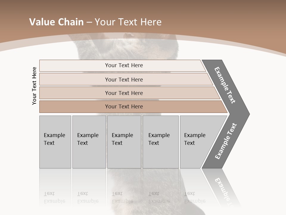 Pet White Kitty PowerPoint Template