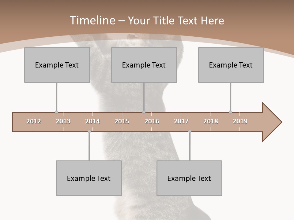 Pet White Kitty PowerPoint Template