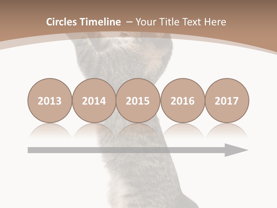 Pet White Kitty PowerPoint Template