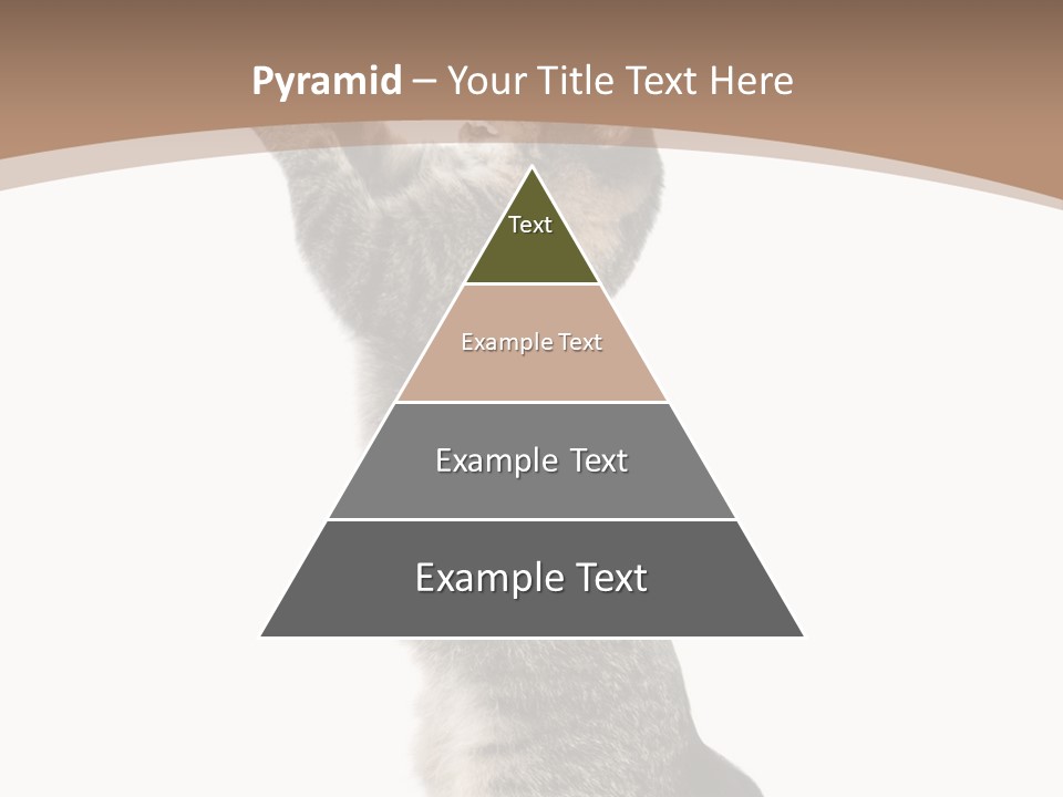 Pet White Kitty PowerPoint Template