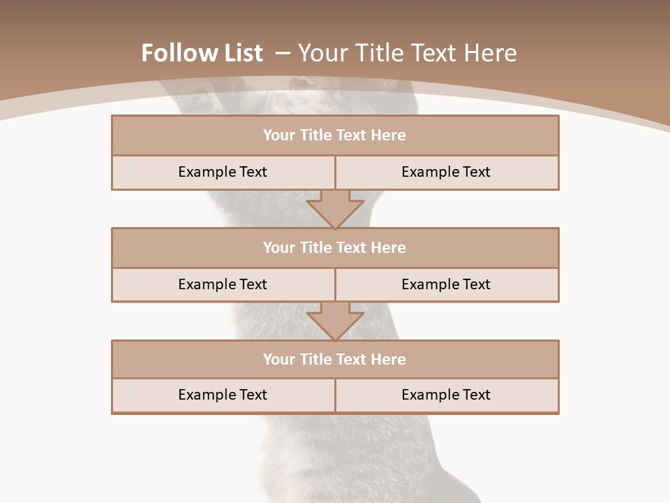 Pet White Kitty PowerPoint Template