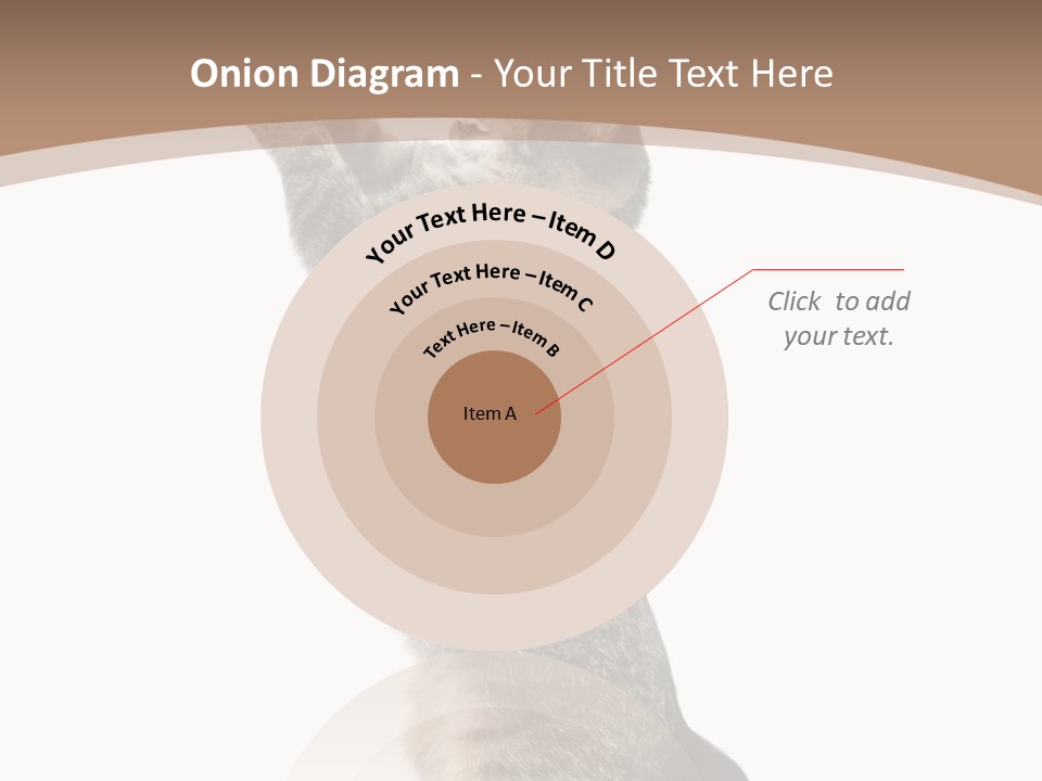 Pet White Kitty PowerPoint Template