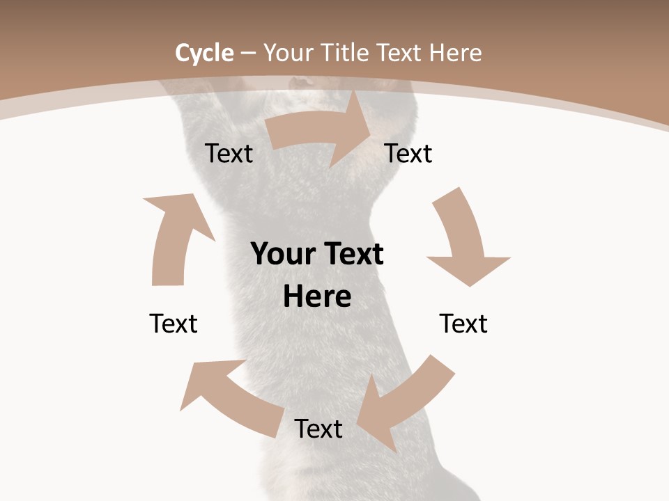 Pet White Kitty PowerPoint Template