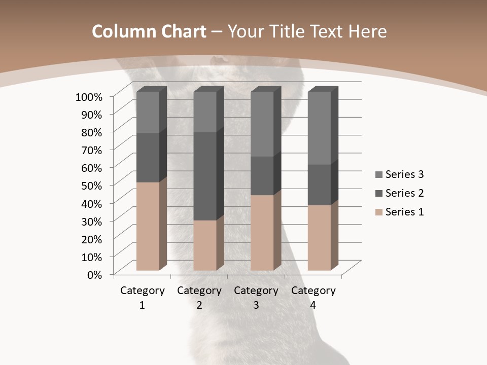 Pet White Kitty PowerPoint Template