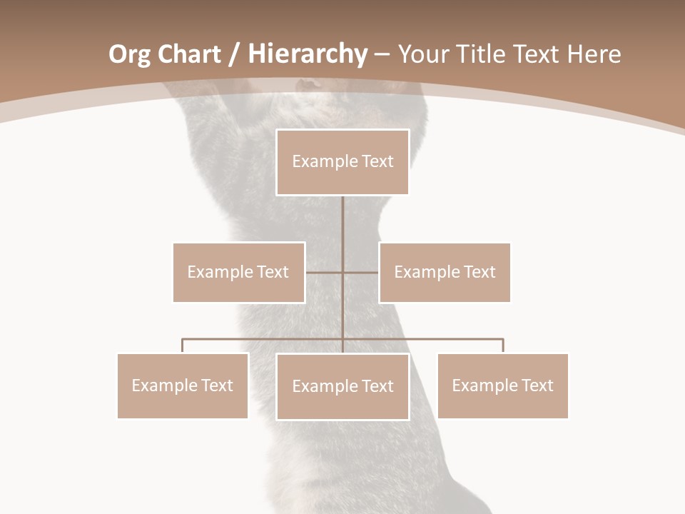 Pet White Kitty PowerPoint Template