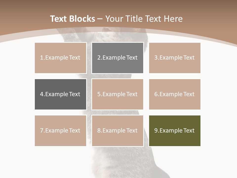 Pet White Kitty PowerPoint Template