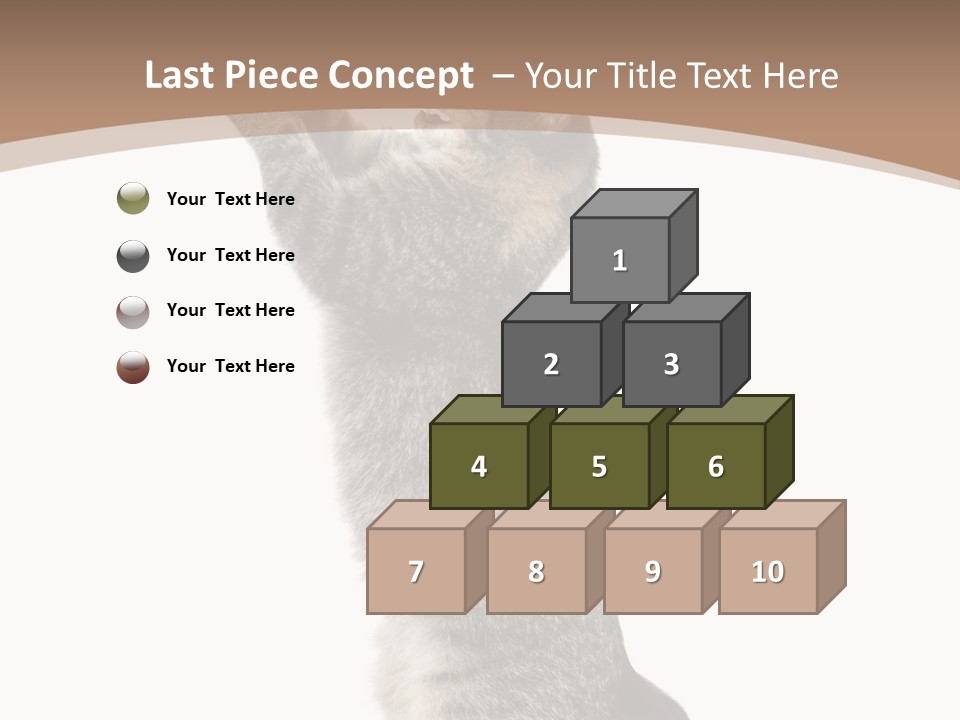 Pet White Kitty PowerPoint Template