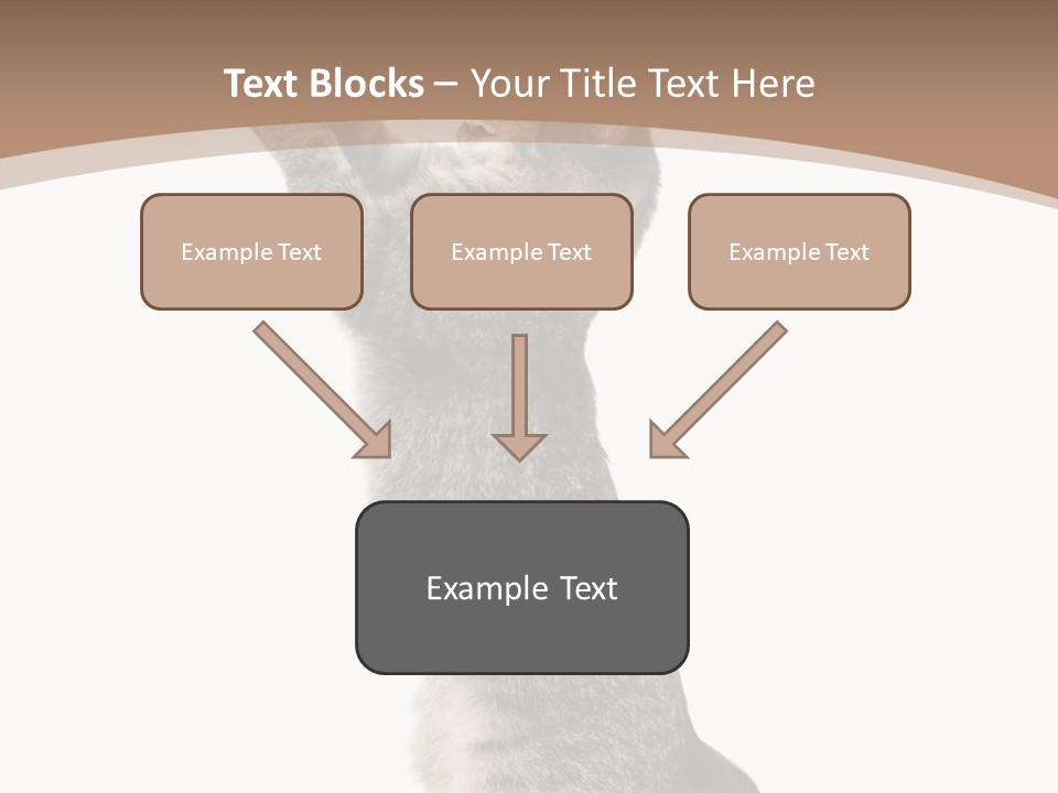 Pet White Kitty PowerPoint Template