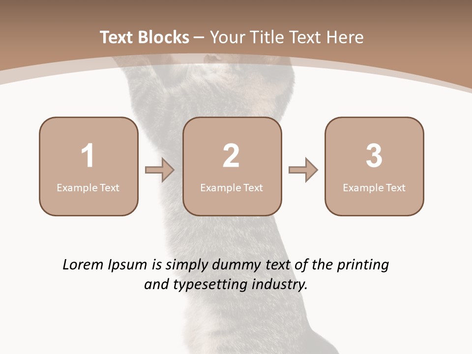 Pet White Kitty PowerPoint Template