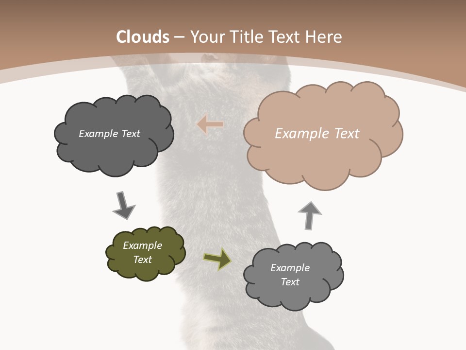 Pet White Kitty PowerPoint Template