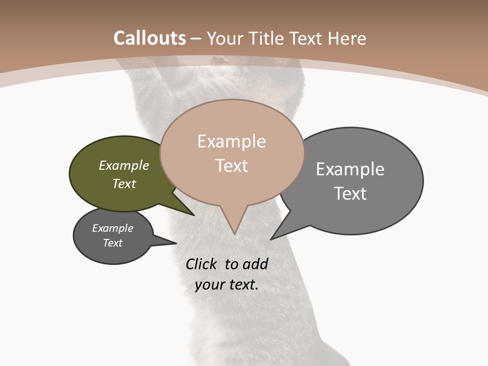 Pet White Kitty PowerPoint Template