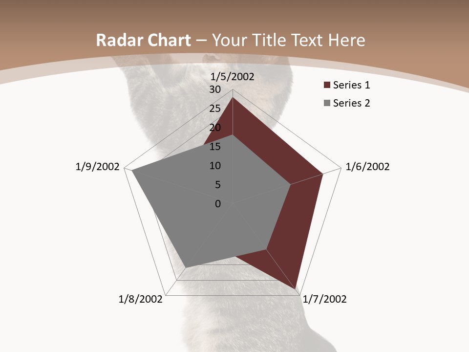 Pet White Kitty PowerPoint Template