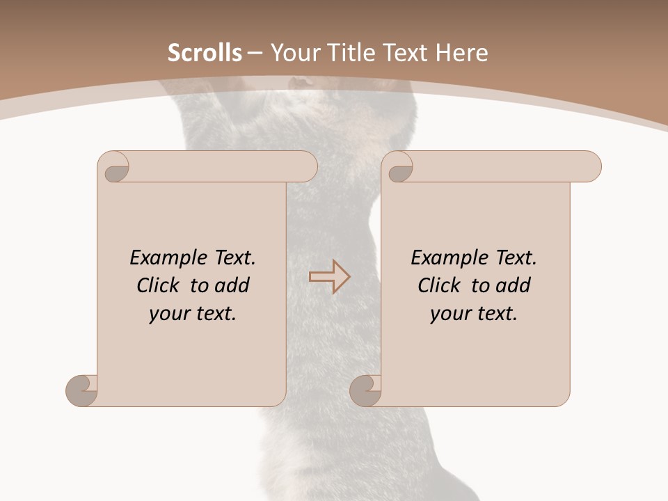 Pet White Kitty PowerPoint Template