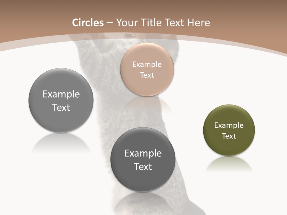 Pet White Kitty PowerPoint Template