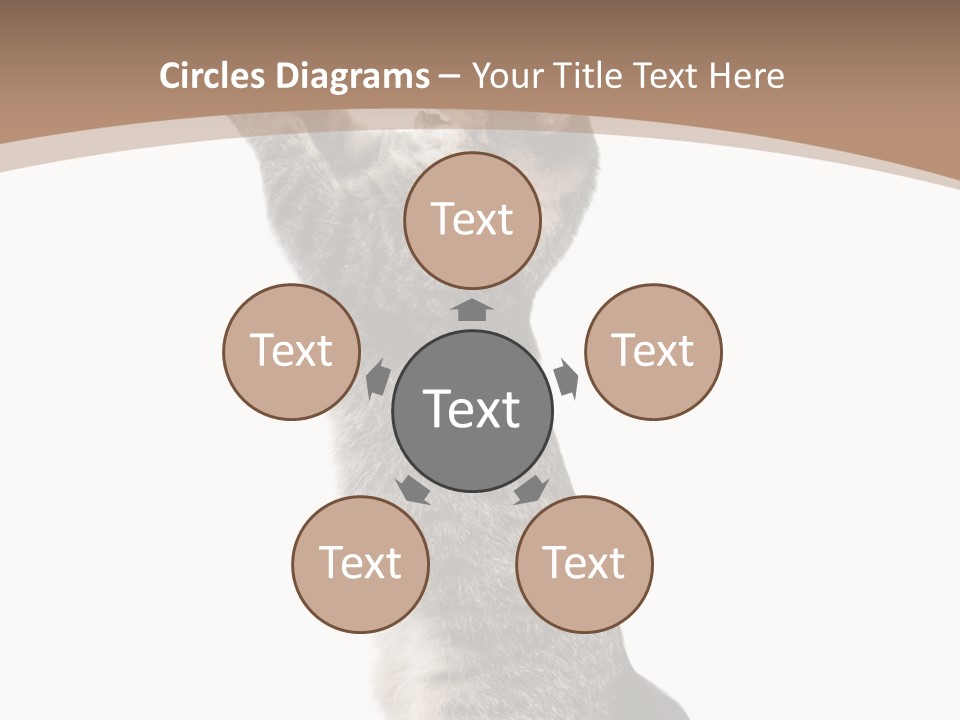 Pet White Kitty PowerPoint Template