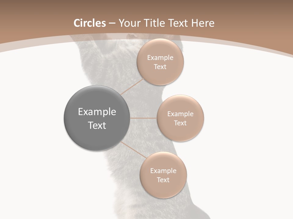 Pet White Kitty PowerPoint Template